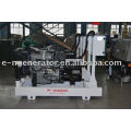 Attractive Price YANMAR power generator